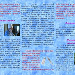 Грипп буклет 2 сторона